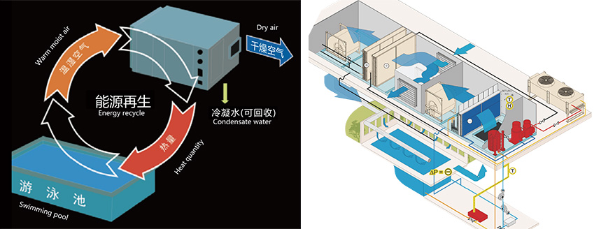 冠派克泳池恒温恒湿系统