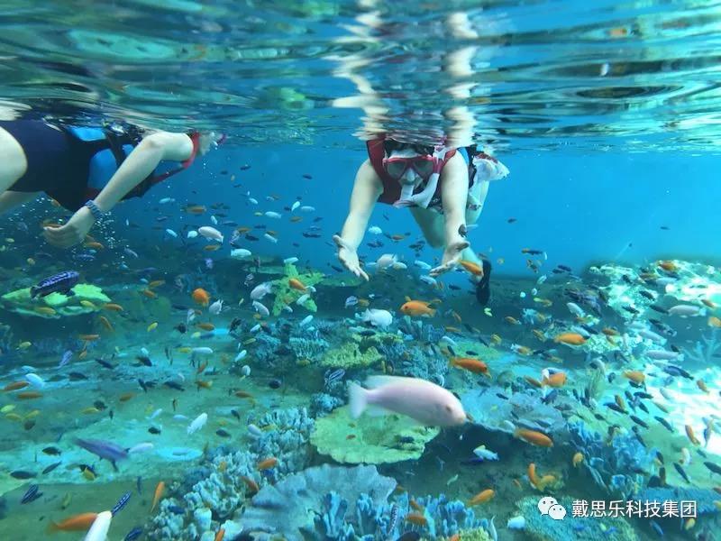 海洋馆水质处理设备