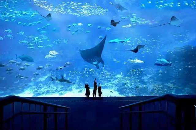 水族馆水处理，泳池水处理设备，游泳馆水处理，海洋馆水质处理升级