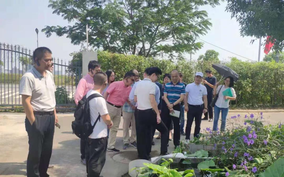蓝狮在线园区参观，无氯游泳池，泳池水处理公司