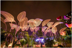 露天低氯游泳池，专属于你的心灵栖息地！