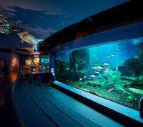海洋馆怎么设计？注意这几个要点，打造高品质海洋世界！